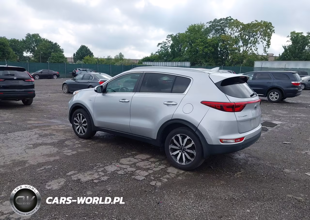 2019 Kia Sportage Ex VIN:KNDPNCAC0K7571377 - 3