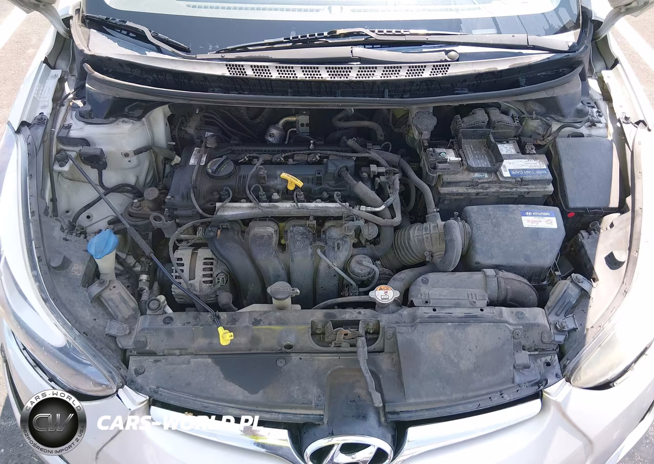 2014 Hyundai Elantra Se (Ulsan Plant) VIN:KMHDH4AE5EU170037 - 10