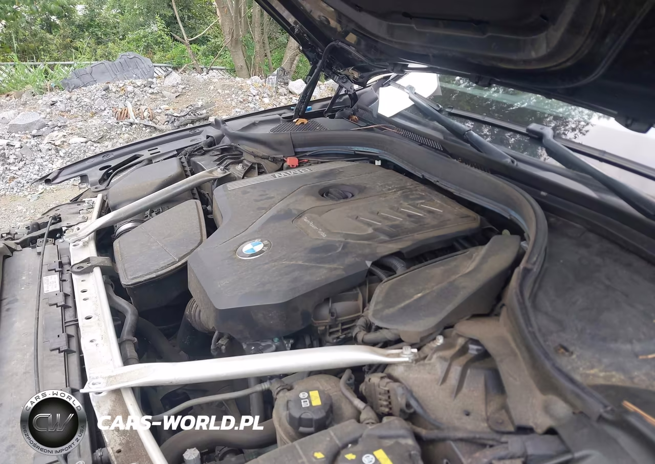 2020 BMW 530I VIN:WBAJR3C09LWW81569 - 10