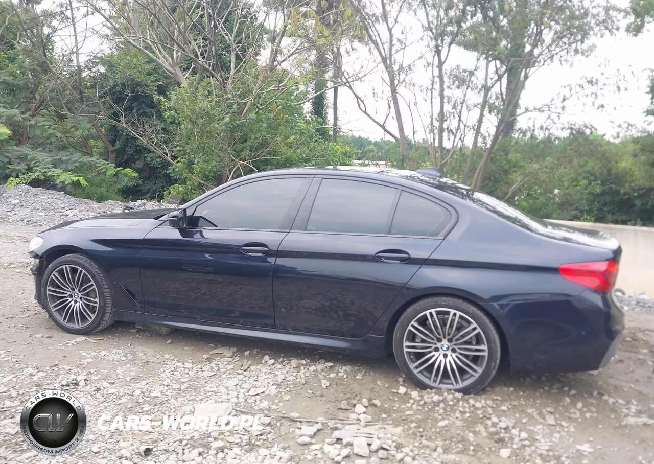 2020 BMW 530I VIN:WBAJR3C09LWW81569 - 14