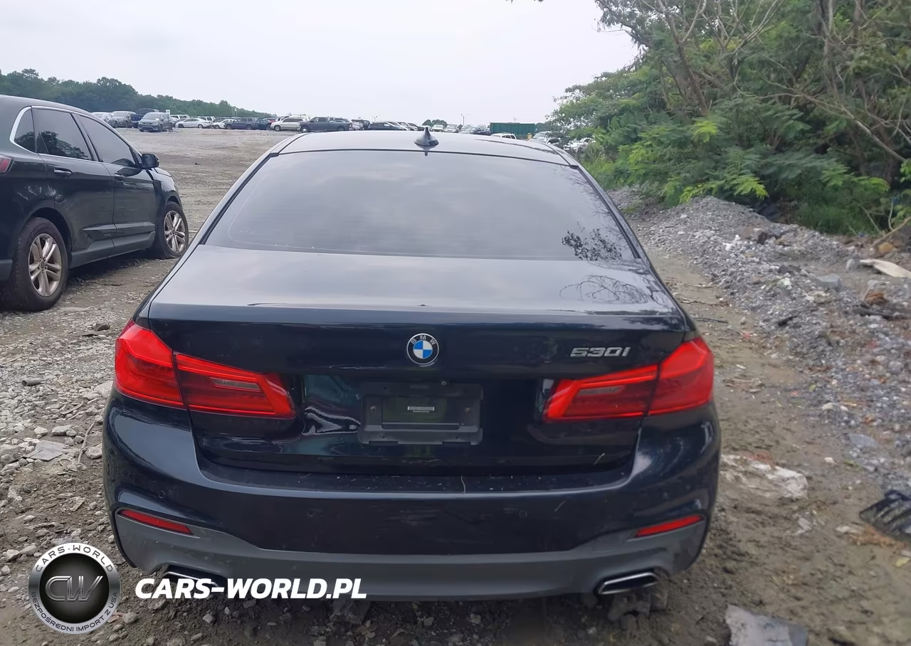 2020 BMW 530I VIN:WBAJR3C09LWW81569 - 16