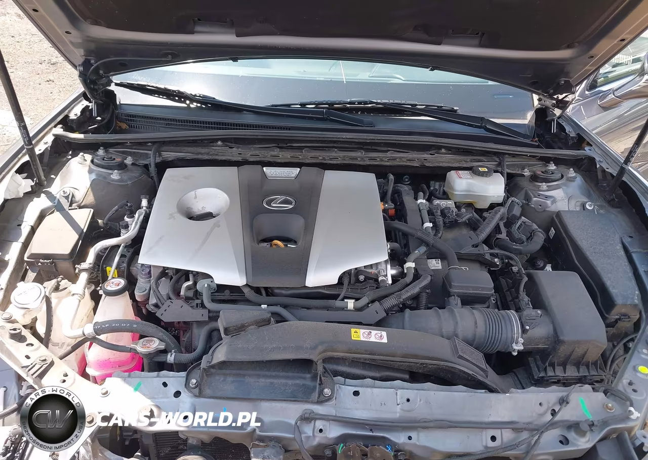 2021 Lexus Es 300H VIN:58ADA1C14MU007982 - 10
