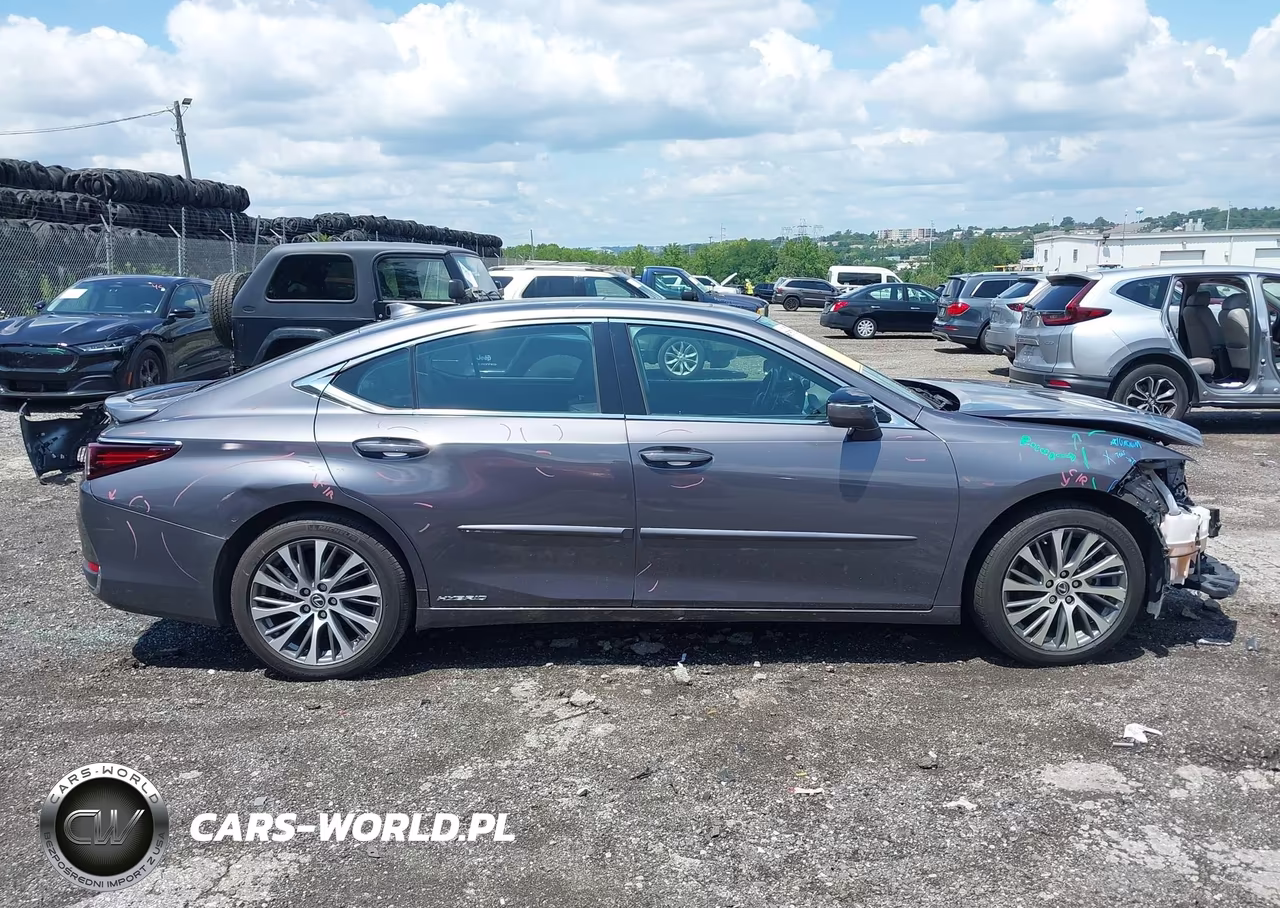 2021 Lexus Es 300H VIN:58ADA1C14MU007982 - 13