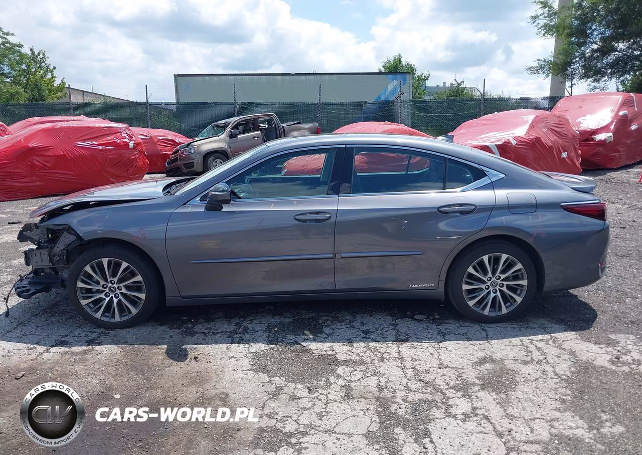 2021 Lexus Es 300H VIN:58ADA1C14MU007982 - 14