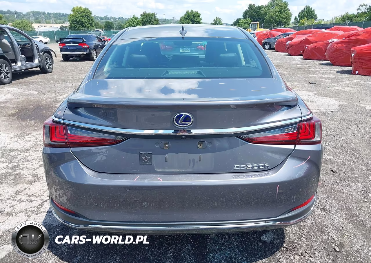 2021 Lexus Es 300H VIN:58ADA1C14MU007982 - 16