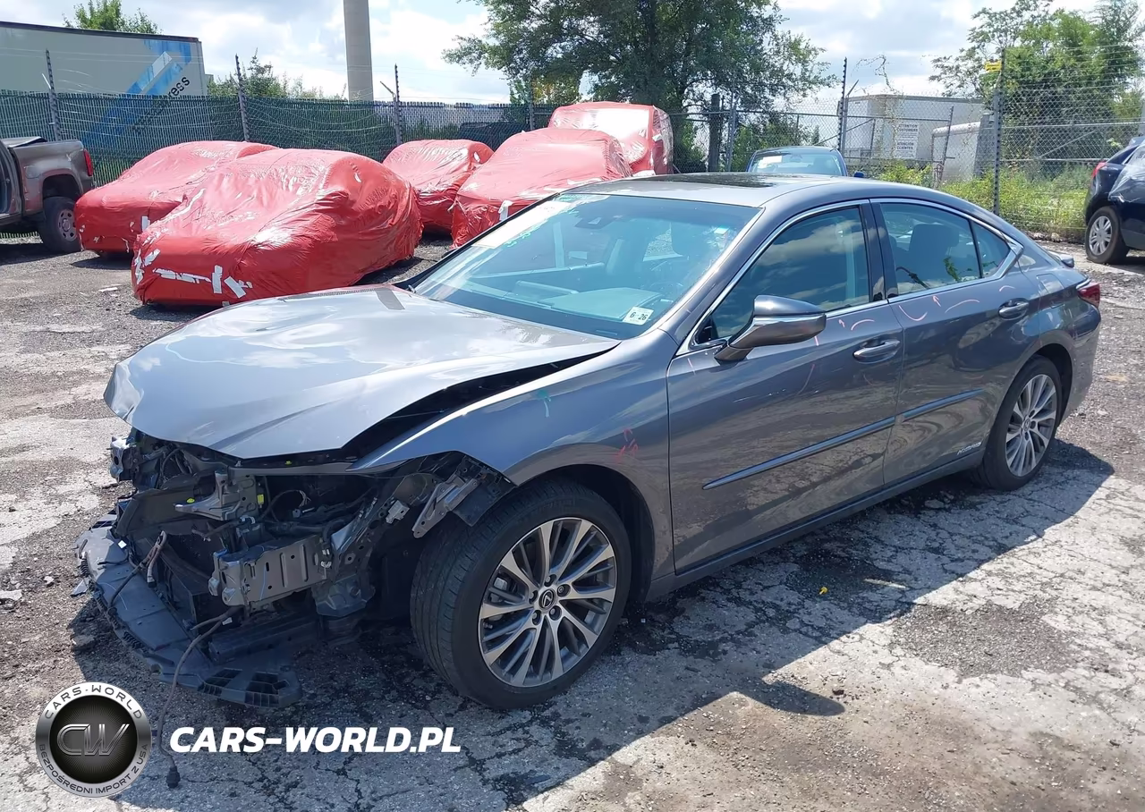 2021 Lexus Es 300H VIN:58ADA1C14MU007982 - 2