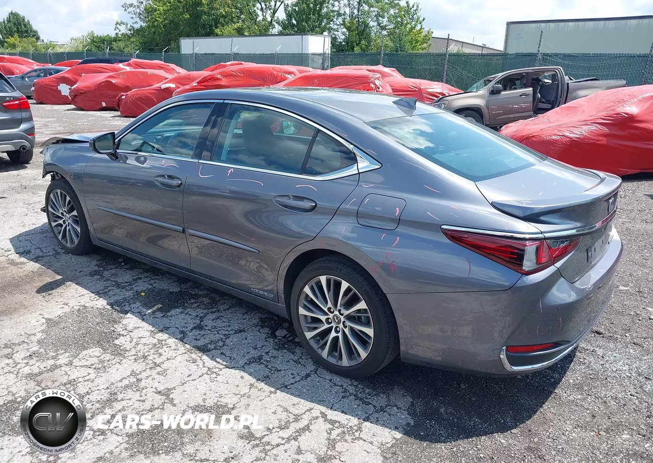 2021 Lexus Es 300H VIN:58ADA1C14MU007982 - 3