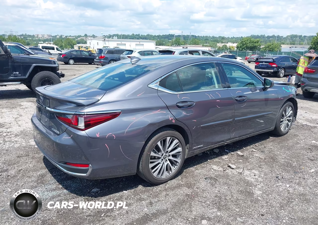 2021 Lexus Es 300H VIN:58ADA1C14MU007982 - 4