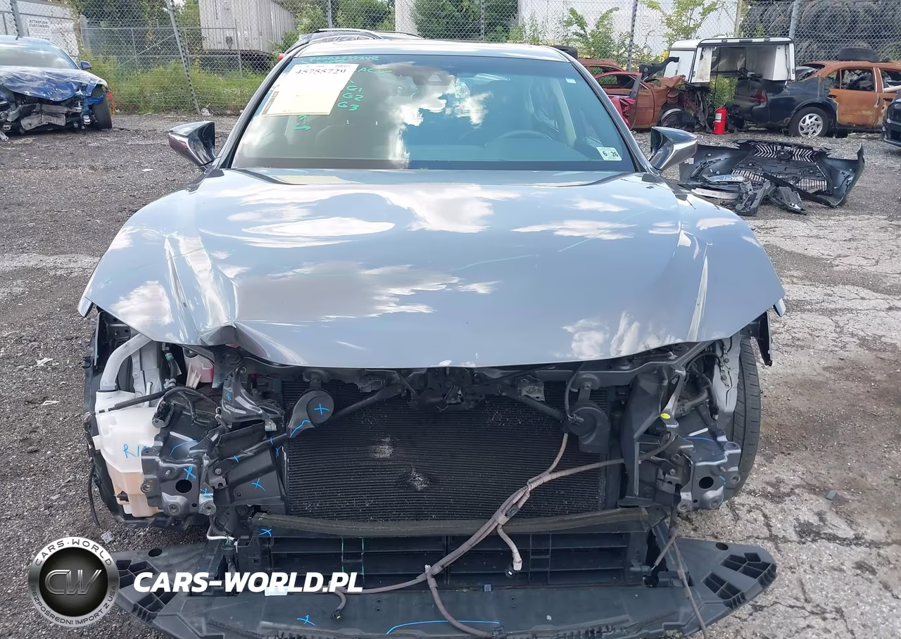 2021 Lexus Es 300H VIN:58ADA1C14MU007982 - 6