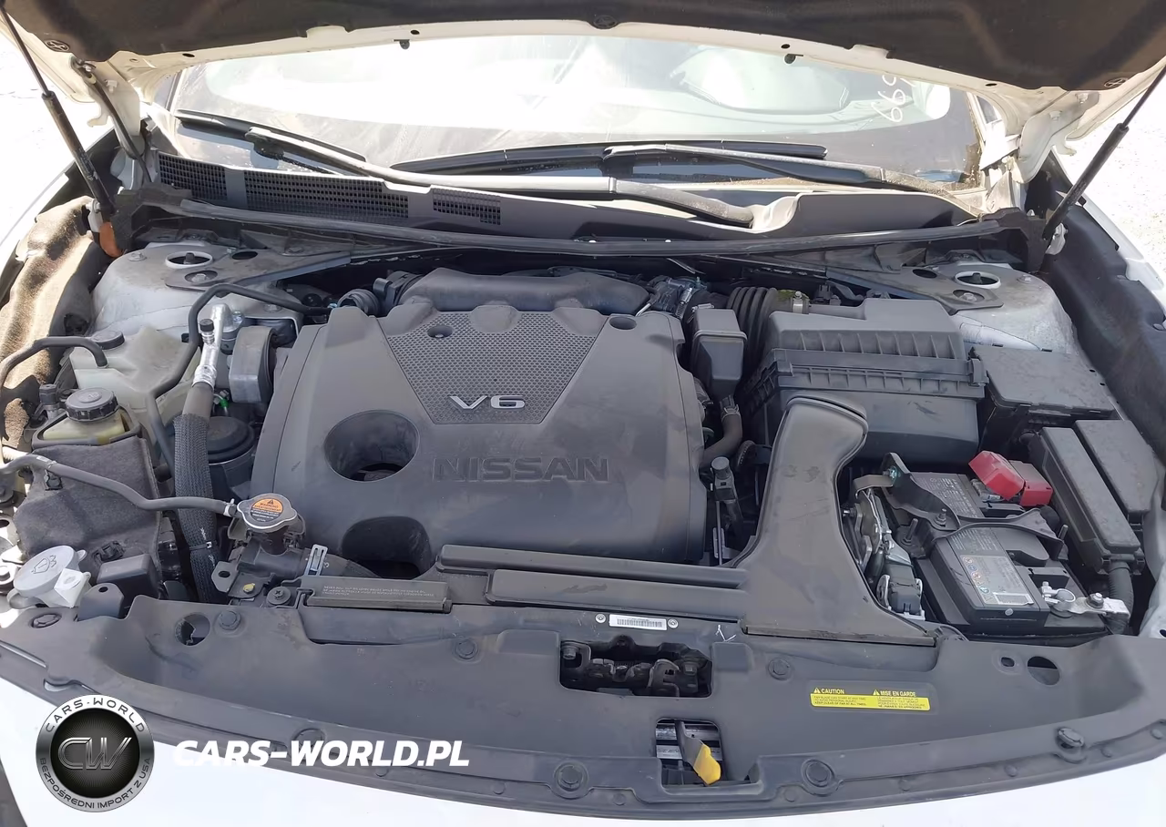 2023 Nissan Maxima Platinum Xtronic Cvt VIN:1N4AA6FV8PC506696 - 10
