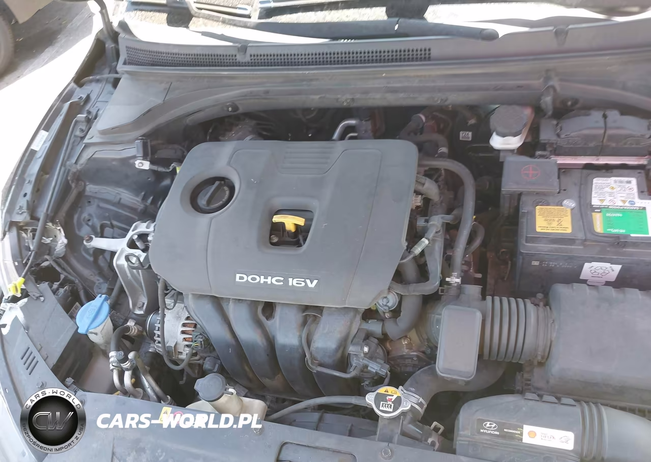 2019 Hyundai Veloster 2.0 Premium VIN:KMHTG6AF8KU012399 - 10