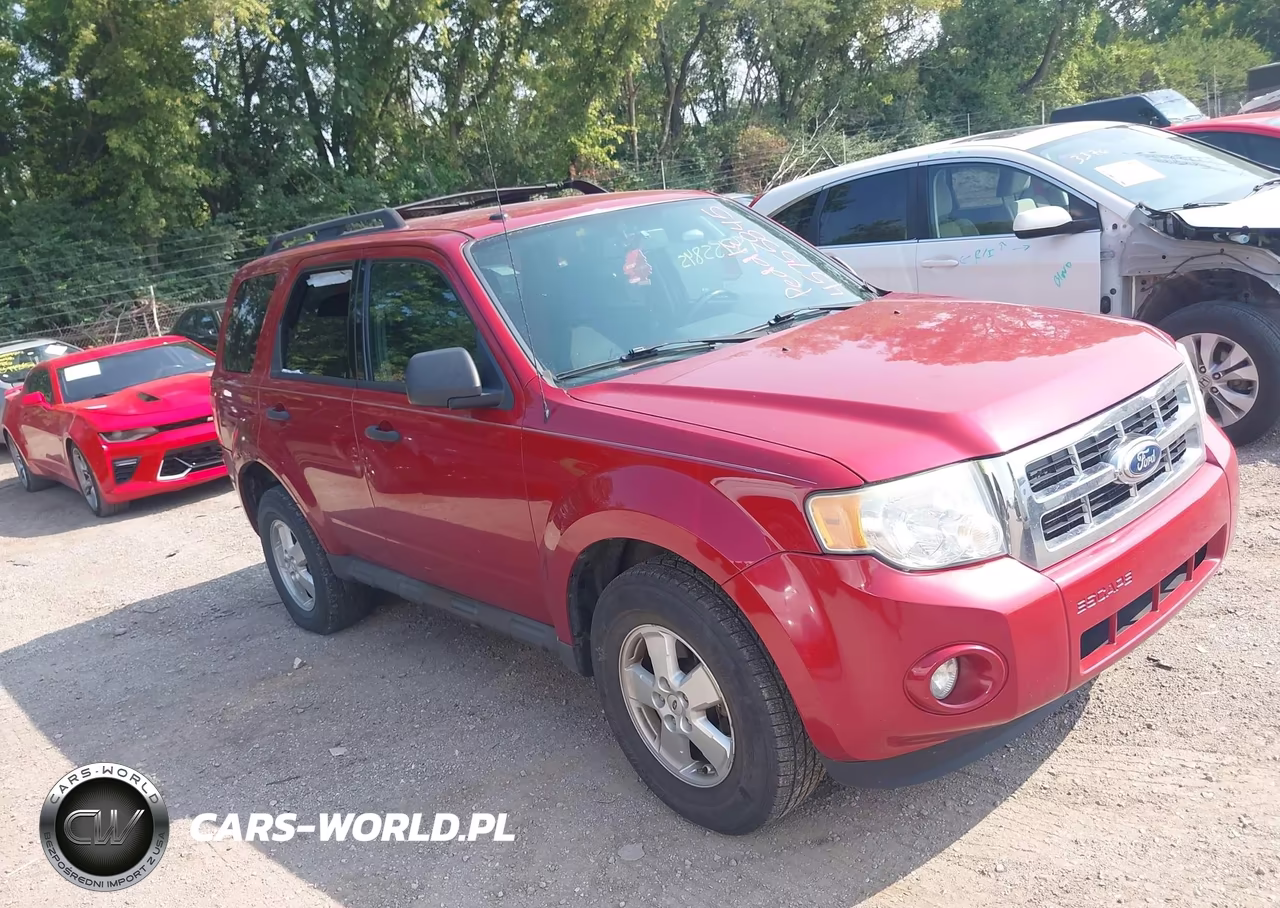 2010 Ford Escape Xlt