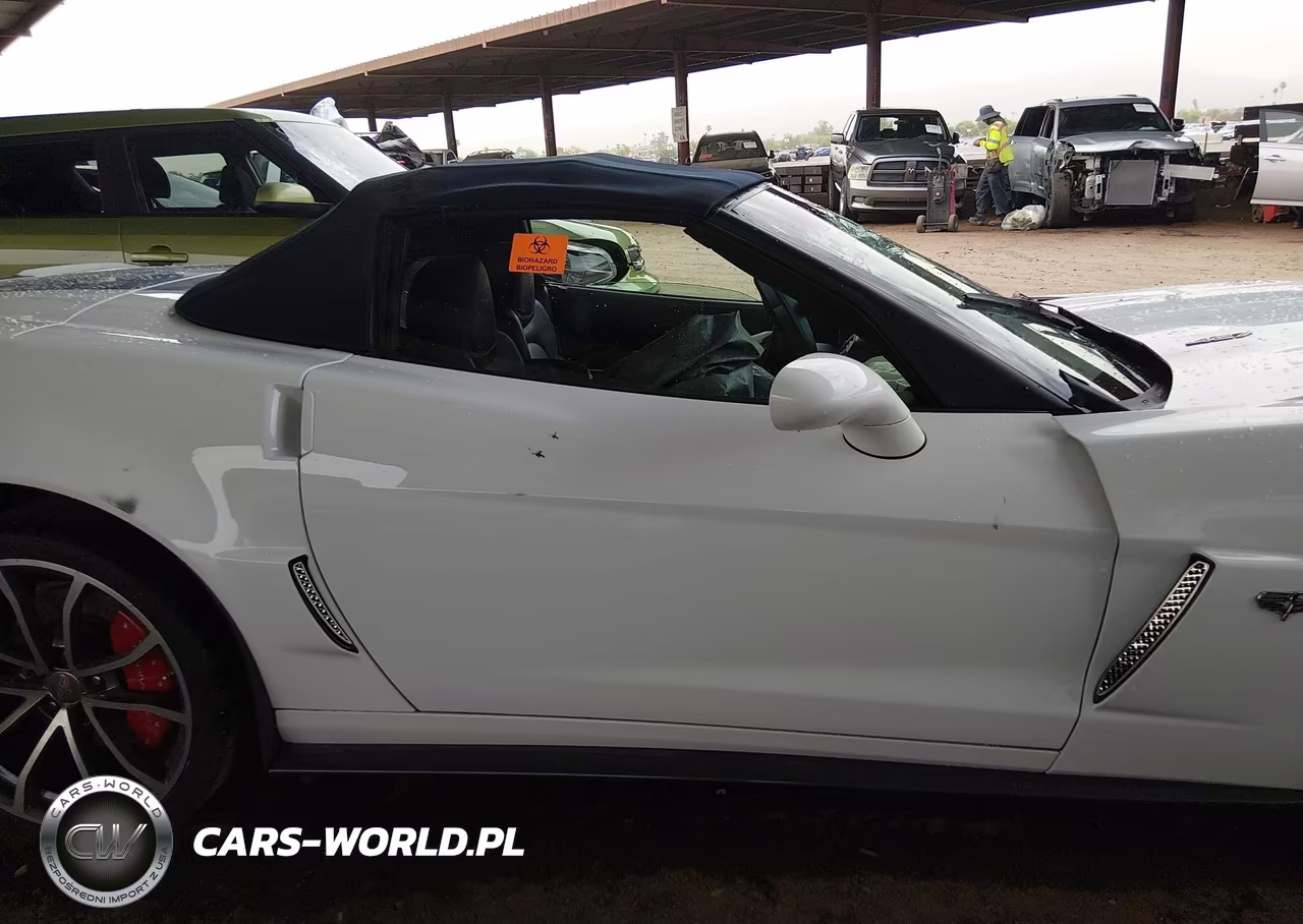 2013 Chevrolet Corvette 427 VIN:1G1Y73DE0D5701399 - 13