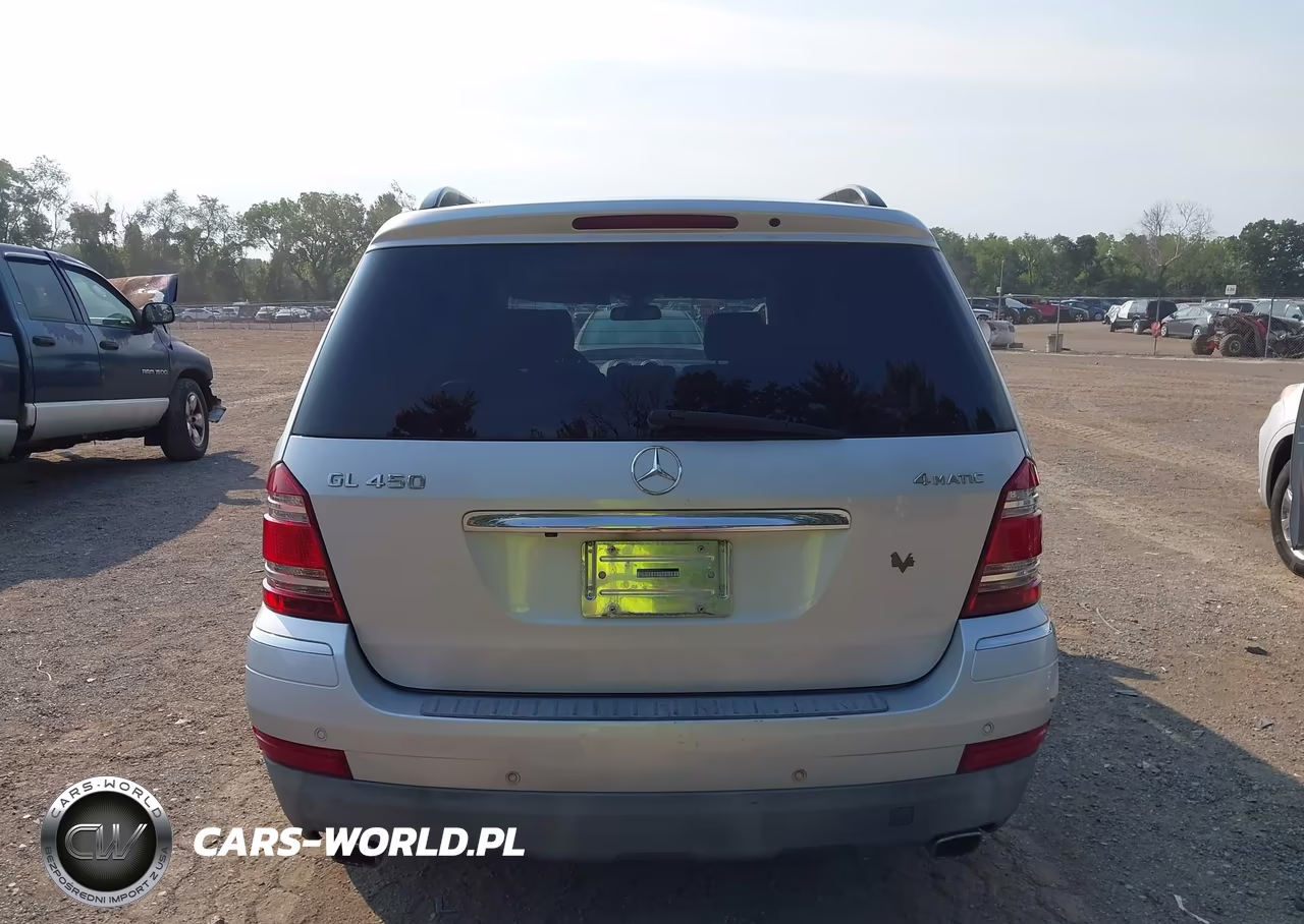 2009 Mercedes-Benz Gl 450 4Matic VIN:4JGBF71E69A508003 - 17
