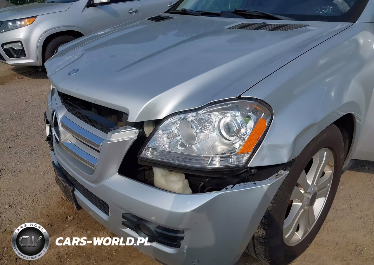 2009 Mercedes-Benz Gl 450 4Matic VIN:4JGBF71E69A508003 - 6