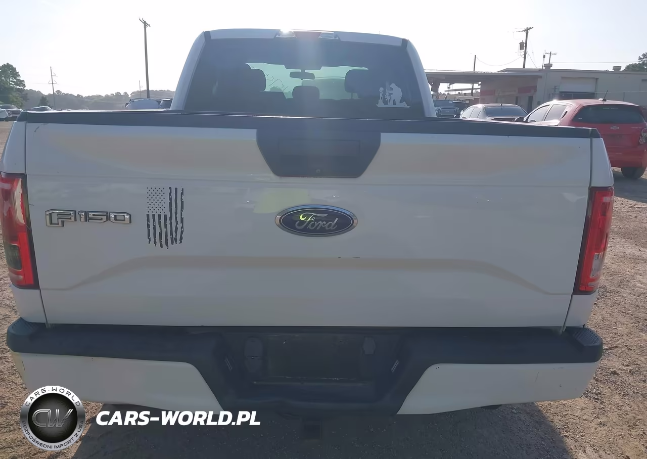 2016 Ford F-150 Xl VIN:1FTEX1CP1GKF63251 - 17