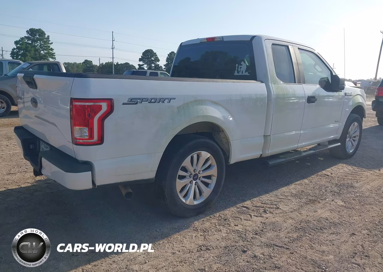 2016 Ford F-150 Xl VIN:1FTEX1CP1GKF63251 - 4