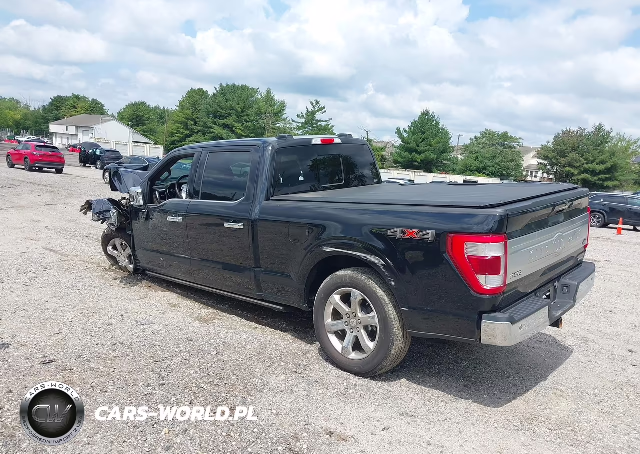 2023 Ford F-150 King Ranch VIN:1FTFW1E81PFC57334 - 3