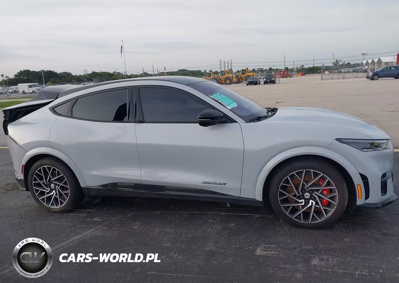 2022 Ford Mustang Mach-E Gt VIN:3FMTK4SX6NMA19919 - 13