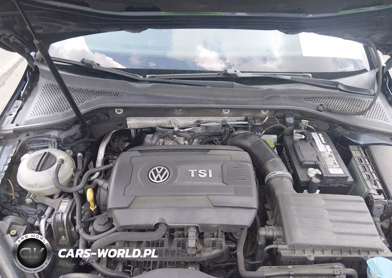2016 Volkswagen Golf Sportwagen Tsi S 4-Door VIN:3VWC17AUXGM514074 - 10