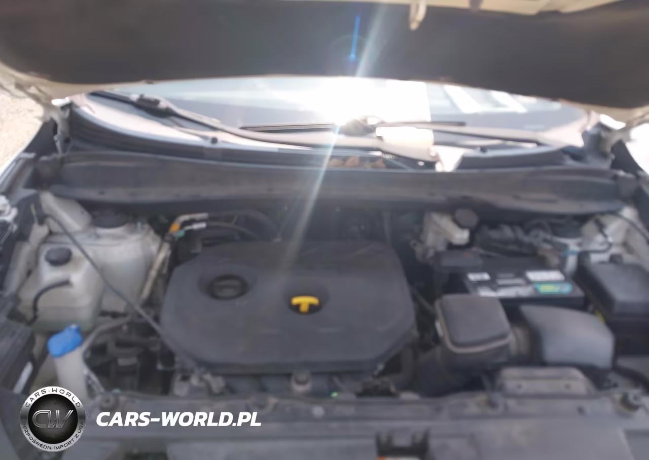 2014 Hyundai Tucson Gls VIN:KM8JT3AF4EU896931 - 10