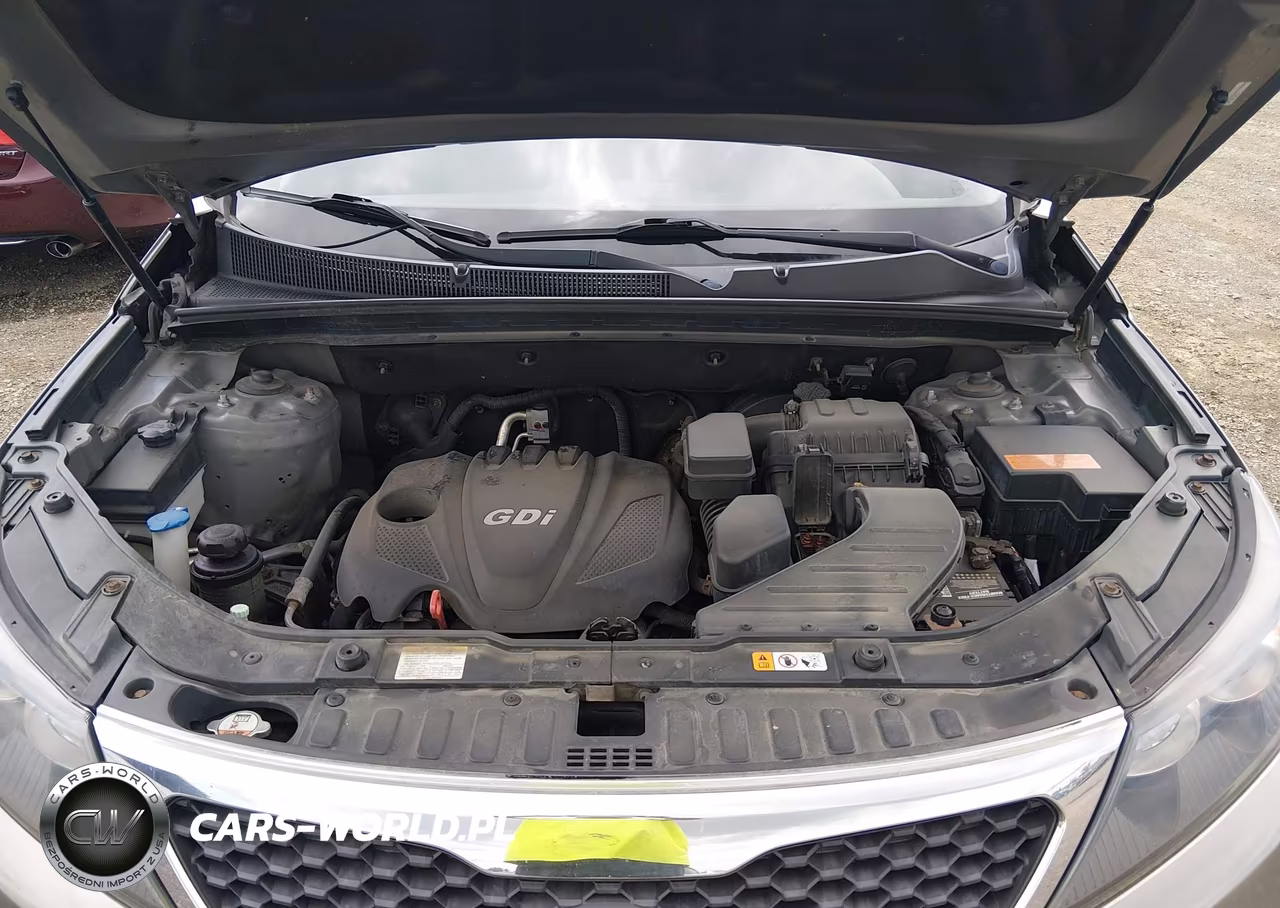 2013 Kia Sorento Lx VIN:5XYKTCA64DG345391 - 10