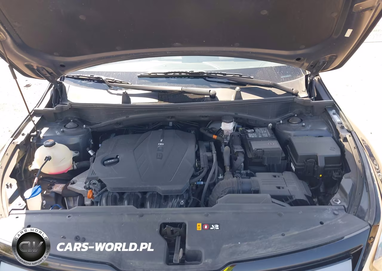 2023 Kia Sportage X-Line VIN:5XYK6CAF5PG133837 - 10