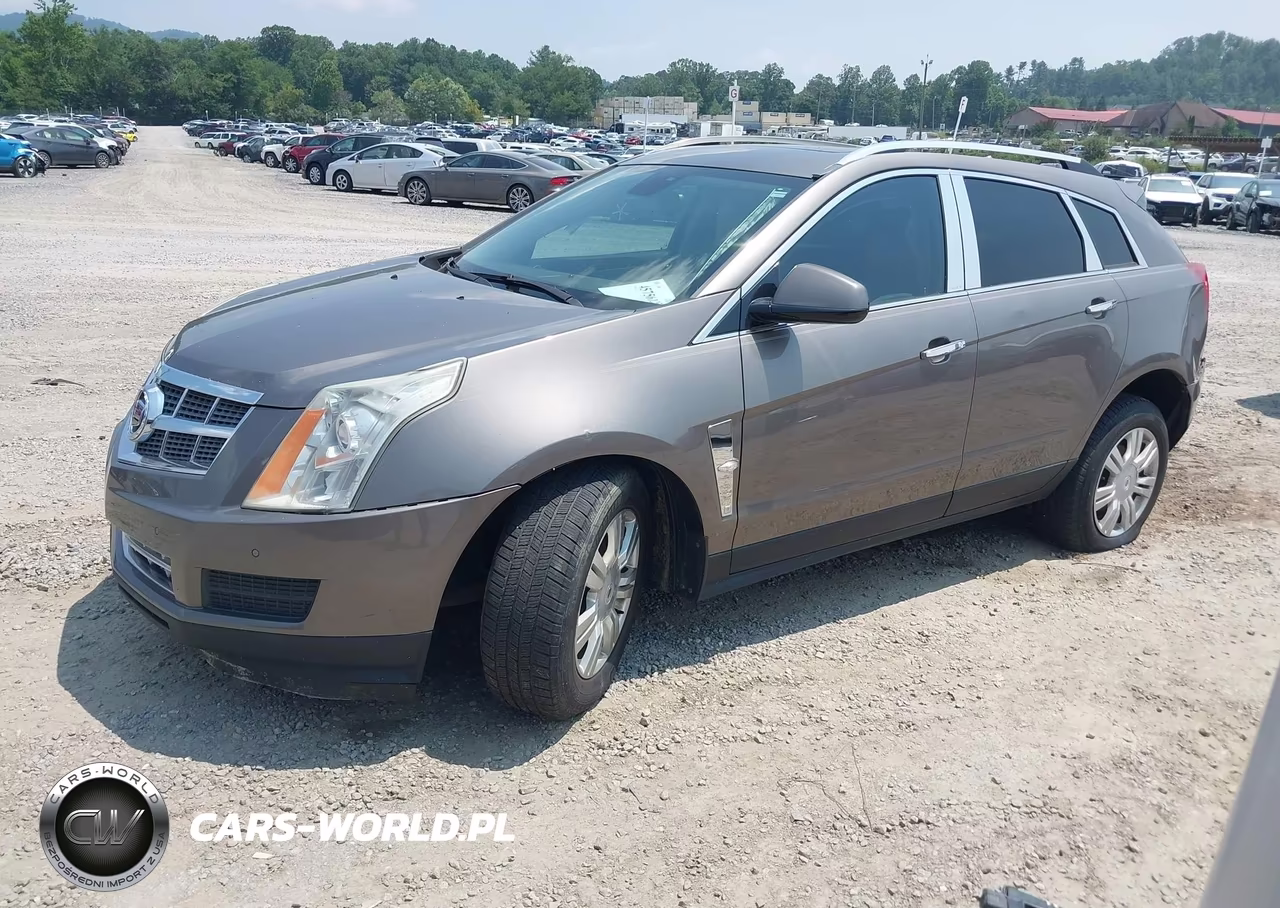 2011 Cadillac Srx Luxury Collection VIN:3GYFNAEY8BS625106 - 2