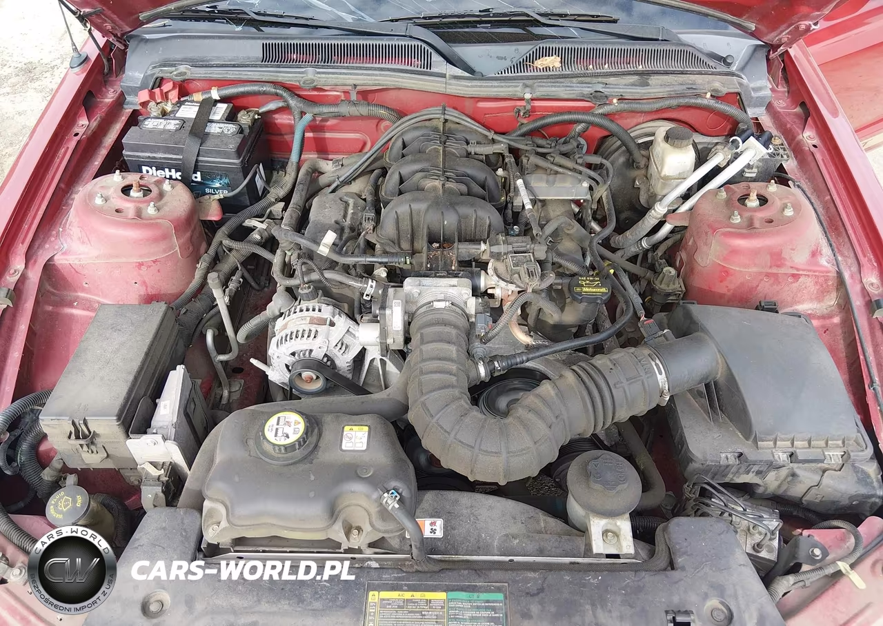 2009 Ford Mustang V6-V6 Premium VIN:1ZVHT84N495125045 - 10