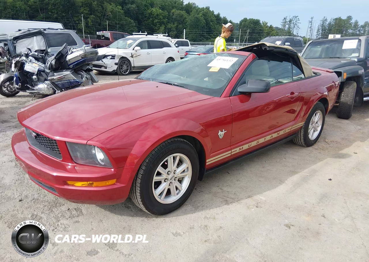 2009 Ford Mustang V6-V6 Premium VIN:1ZVHT84N495125045 - 2
