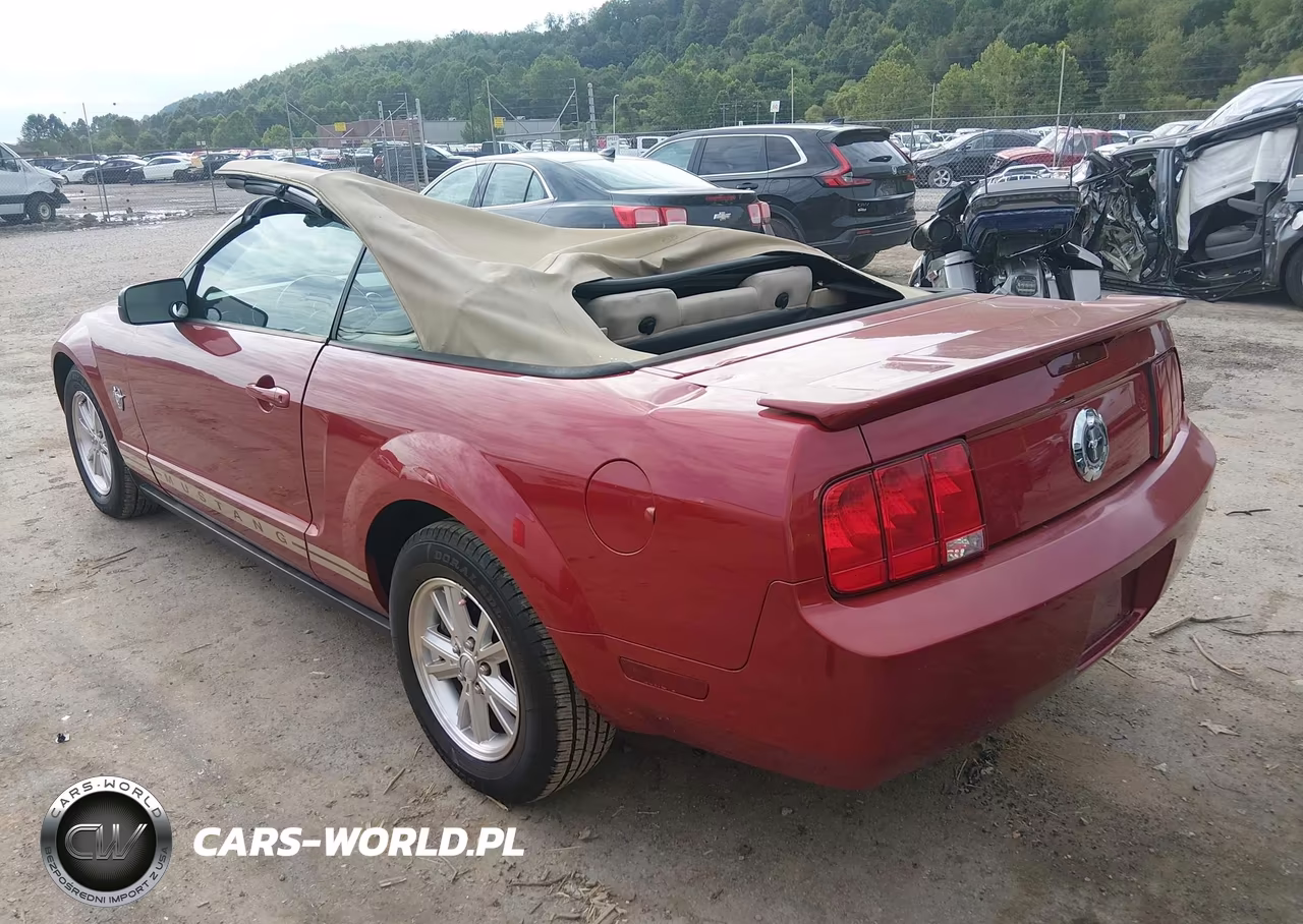 2009 Ford Mustang V6-V6 Premium VIN:1ZVHT84N495125045 - 3