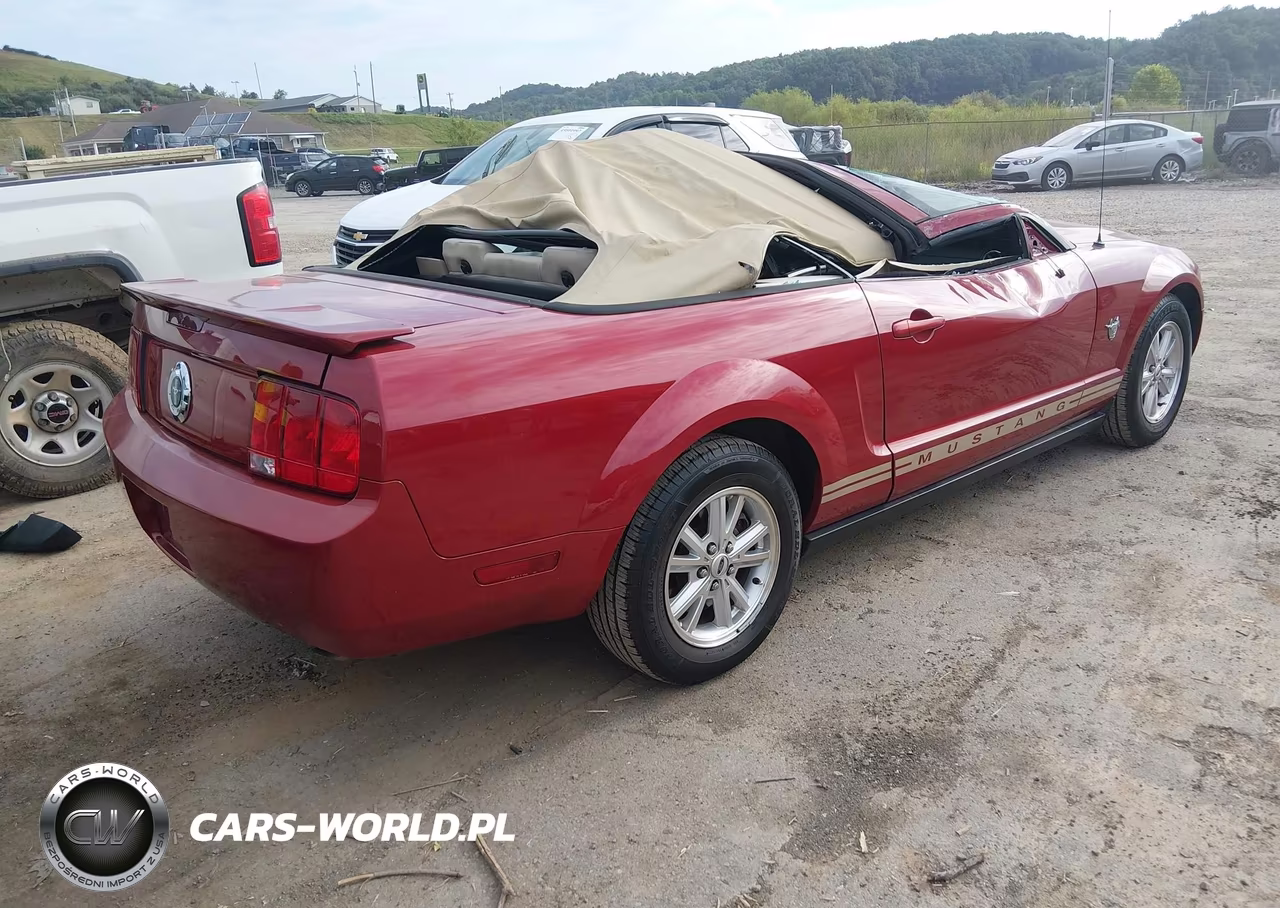 2009 Ford Mustang V6-V6 Premium VIN:1ZVHT84N495125045 - 4