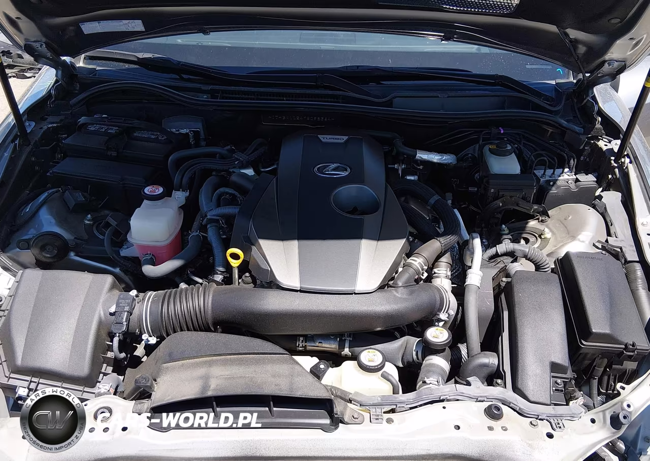 2019 Lexus Is 300 VIN:JTHBA1D24K5098364 - 10