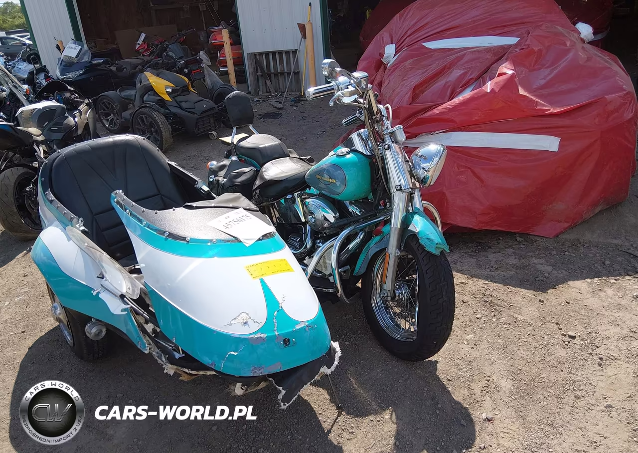 2000 Harley-Davidson Flstf