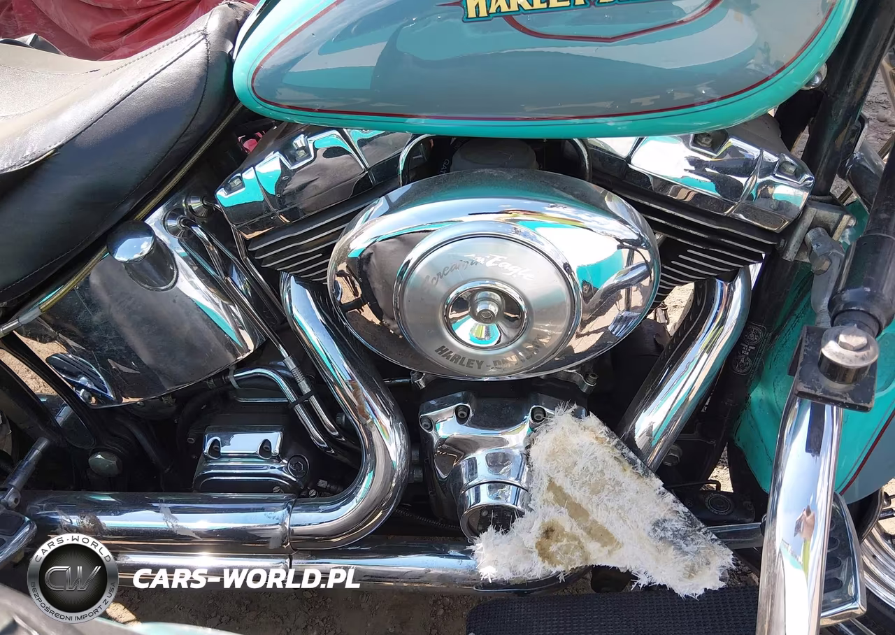 2000 Harley-Davidson Flstf VIN:1HD1BMY12YY032415 - 8