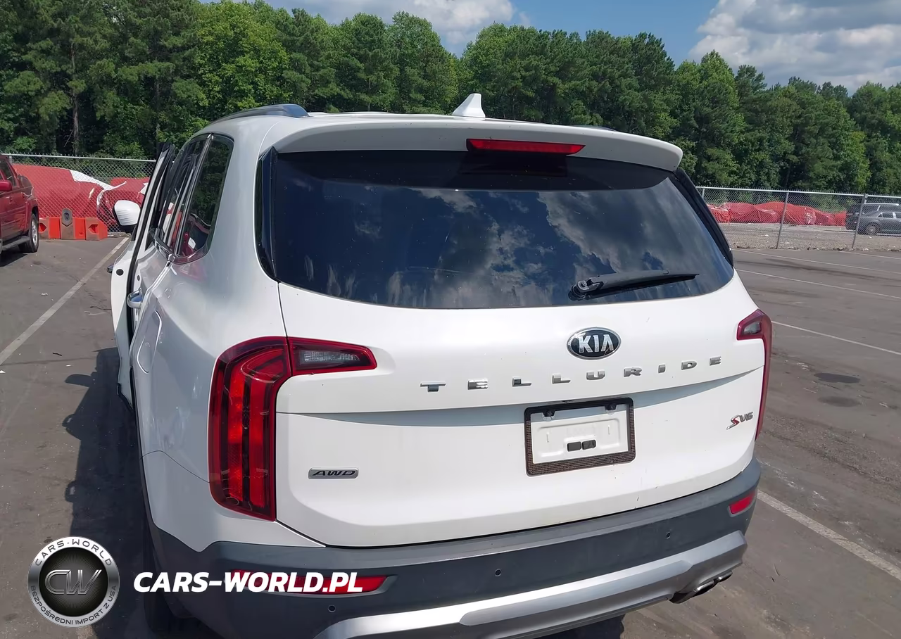 2020 Kia Telluride S VIN:5XYP6DHC7LG017606 - 17