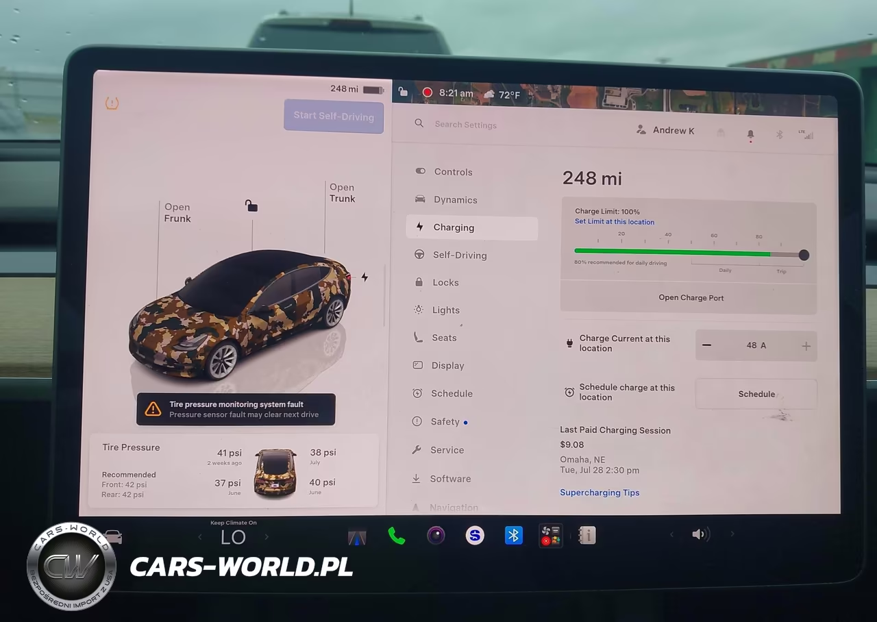 2022 Tesla Model 3 Long Range Dual Motor All-Wheel Drive VIN:5YJ3E1EB0NF205096 - 17