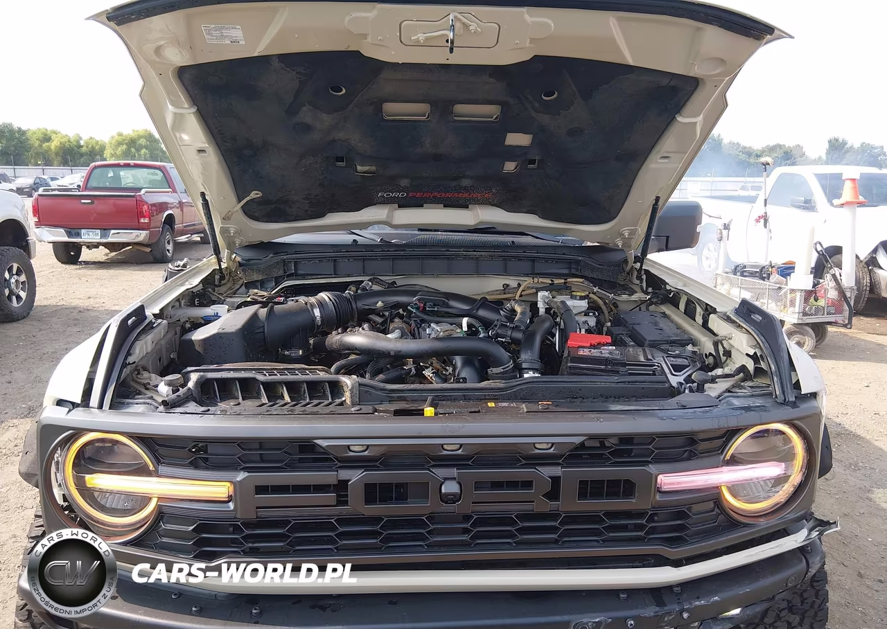 2025 Ford Bronco Raptor VIN:1FMEE0RR8SLB46166 - 10