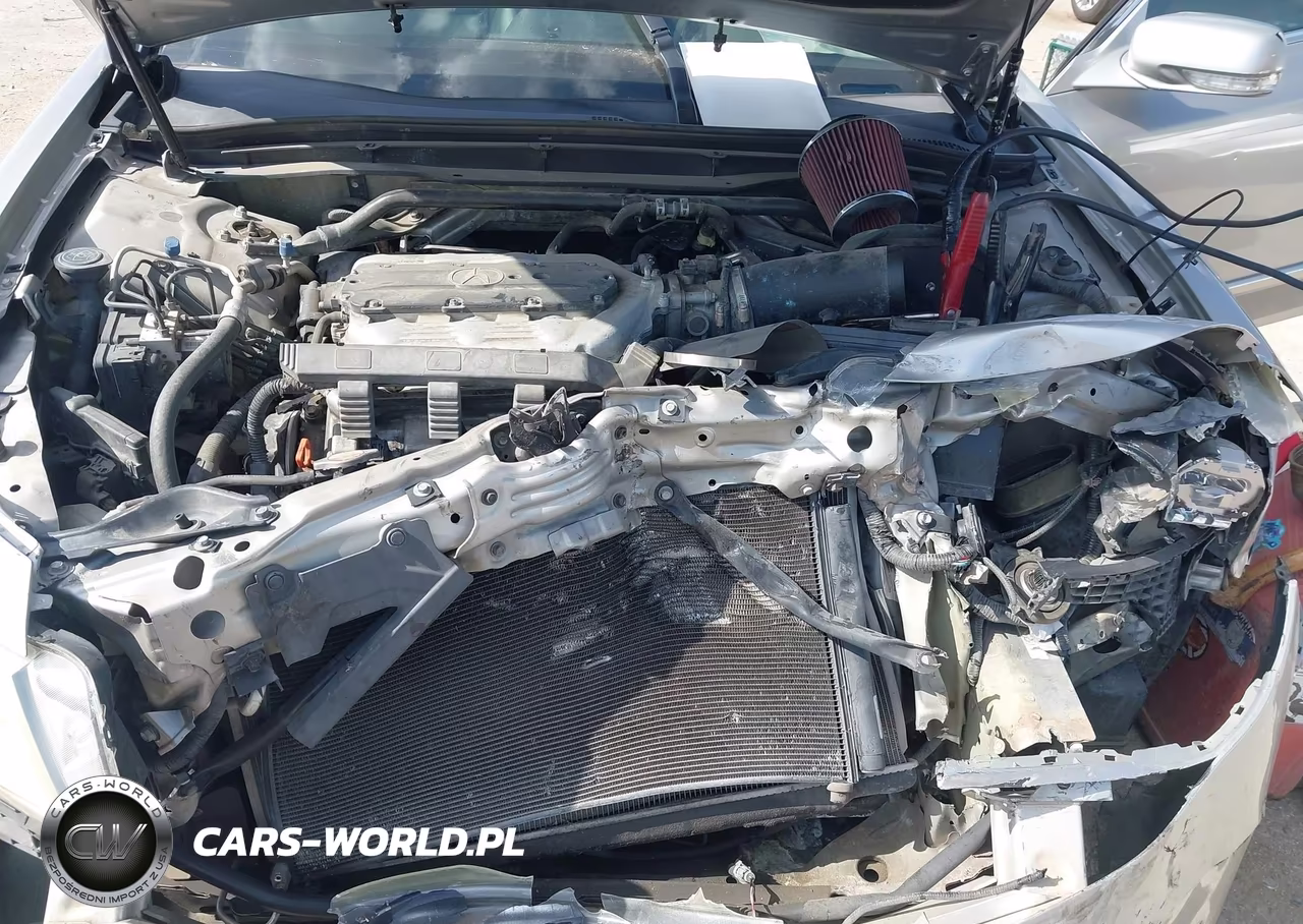 2009 Acura Tl 3.5 VIN:19UUA86569A018222 - 10