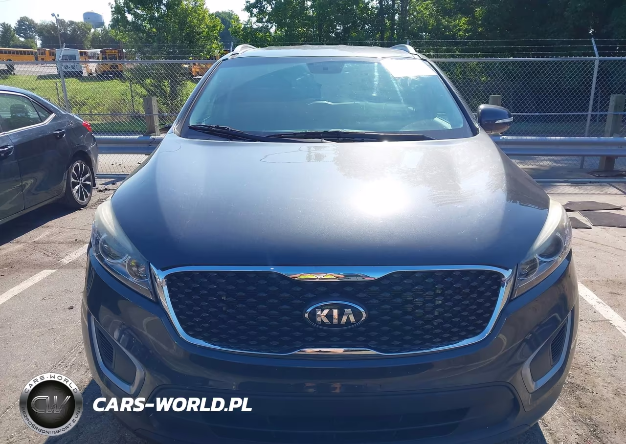 2017 Kia Sorento 2.4L Lx VIN:5XYPGDA31HG237404 - 13