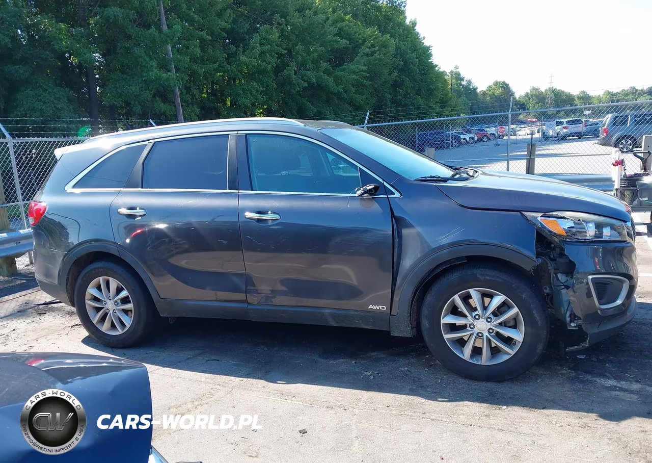 2017 Kia Sorento 2.4L Lx VIN:5XYPGDA31HG237404 - 14