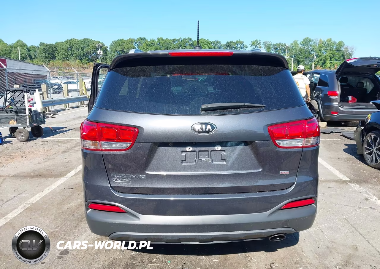 2017 Kia Sorento 2.4L Lx VIN:5XYPGDA31HG237404 - 17