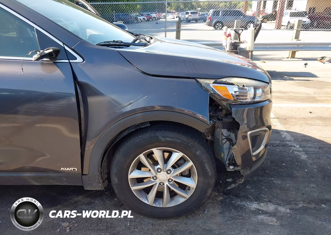 2017 Kia Sorento 2.4L Lx VIN:5XYPGDA31HG237404 - 19