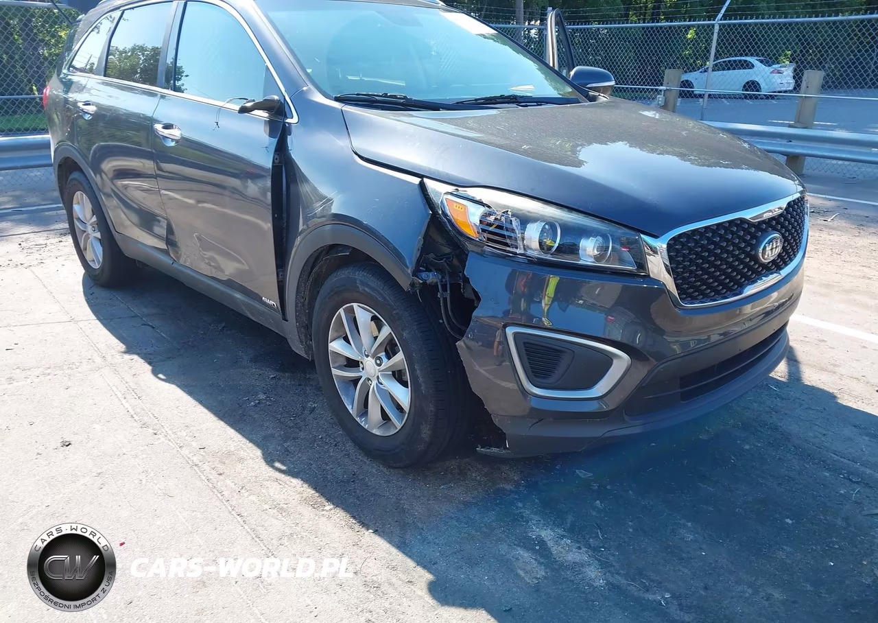 2017 Kia Sorento 2.4L Lx VIN:5XYPGDA31HG237404 - 20