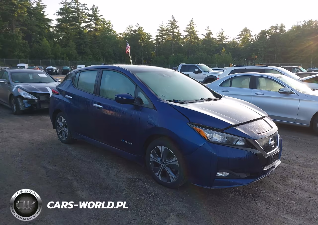 2019 Nissan Leaf Sl Plus