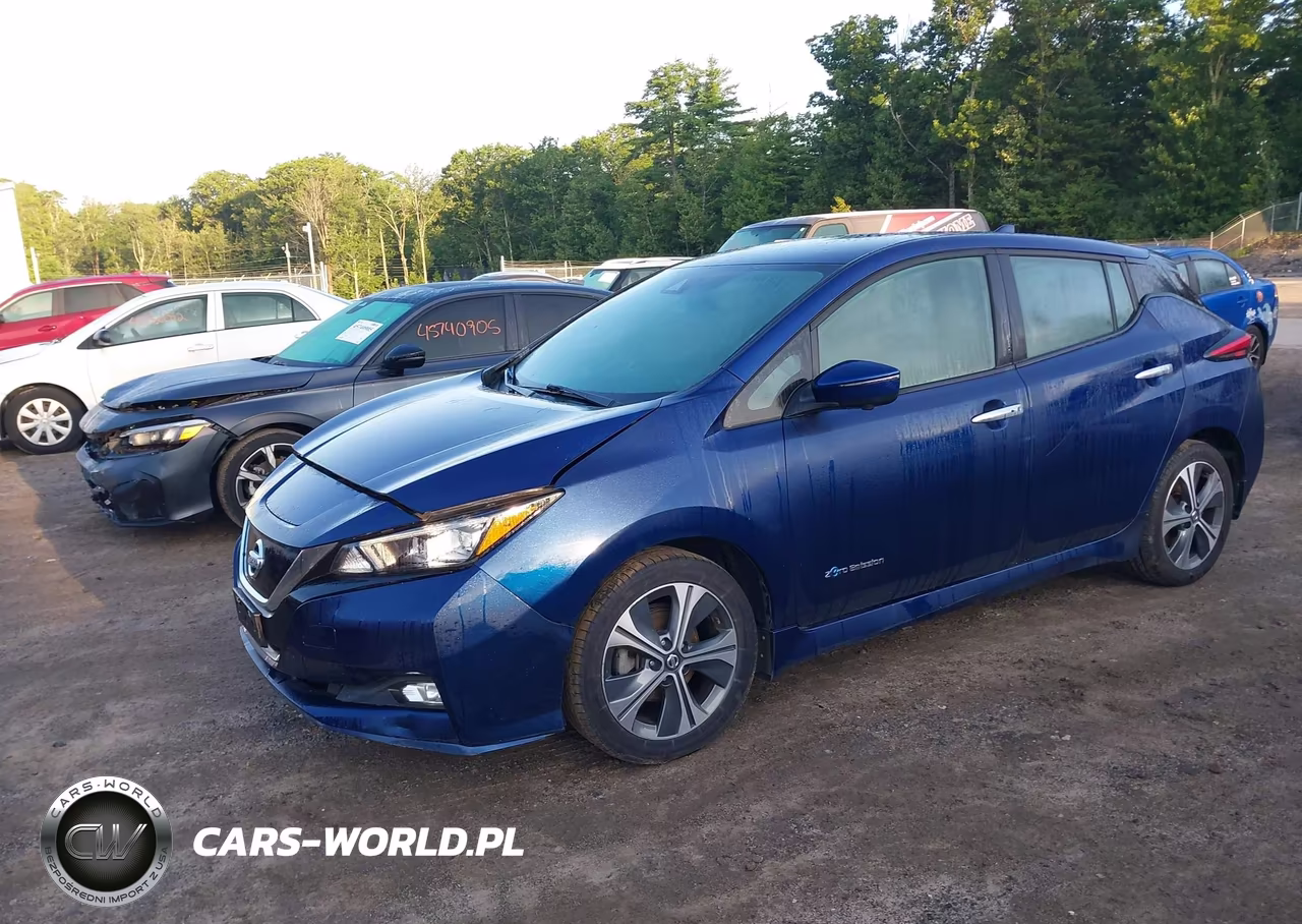 2019 Nissan Leaf Sl Plus VIN:1N4BZ1CP4KC312617 - 2