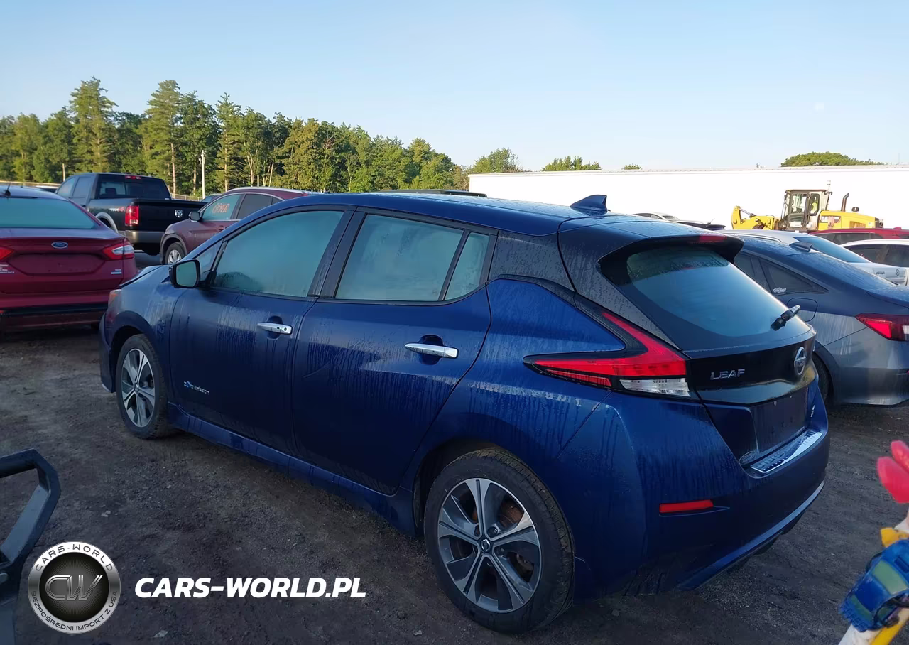 2019 Nissan Leaf Sl Plus VIN:1N4BZ1CP4KC312617 - 3