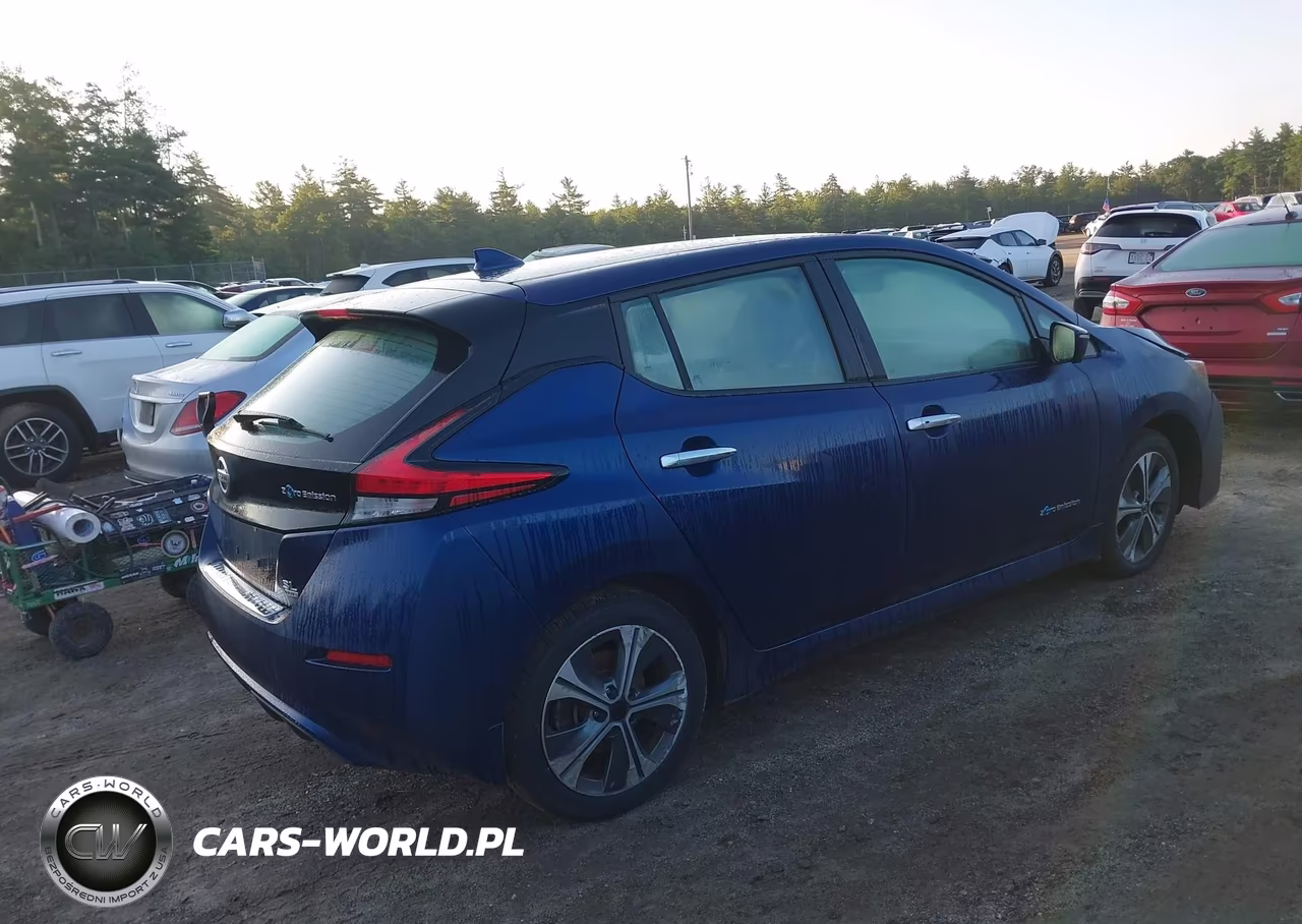 2019 Nissan Leaf Sl Plus VIN:1N4BZ1CP4KC312617 - 4
