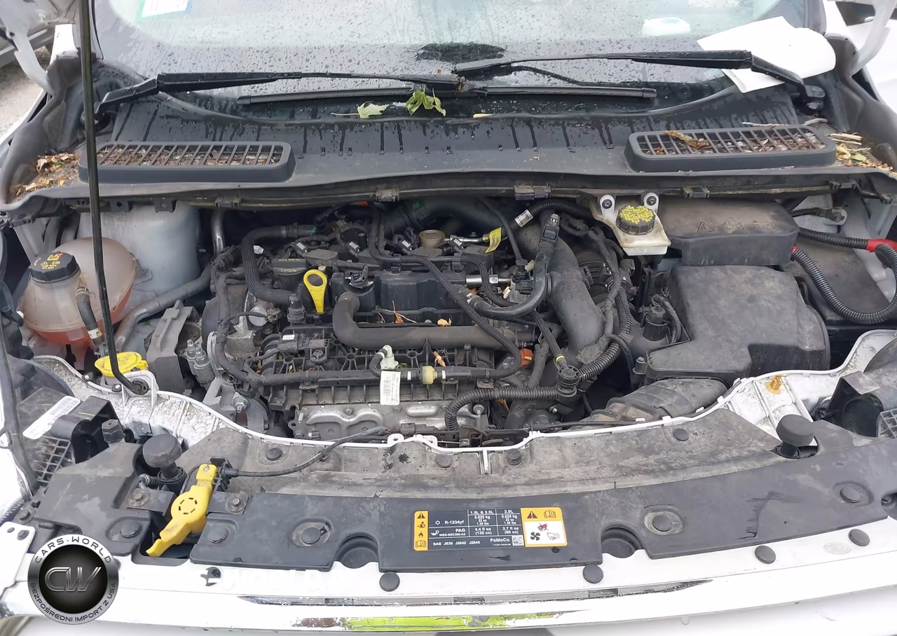 2019 Ford Escape Se VIN:1FMCU9GD1KUC07695 - 10