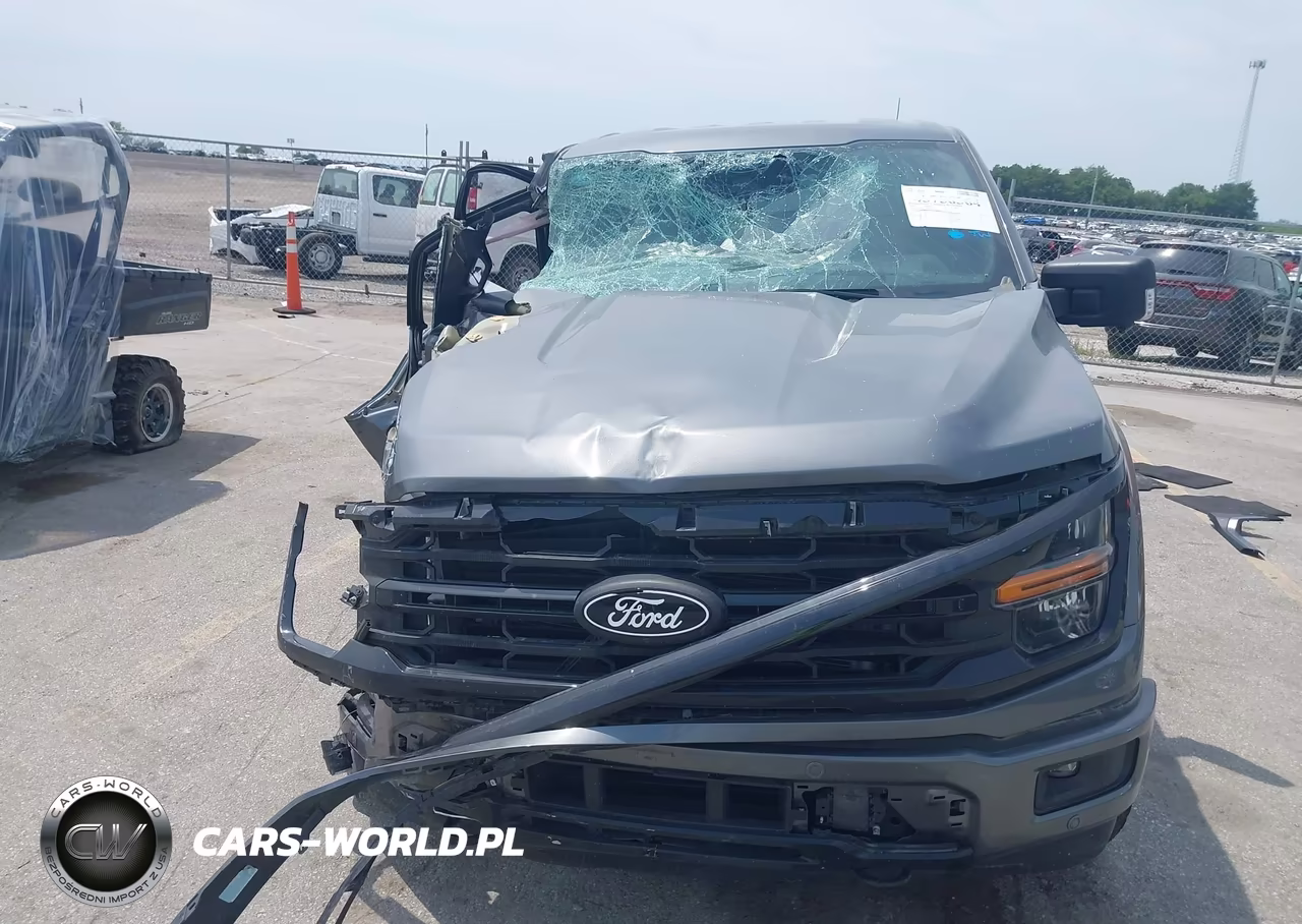 2025 Ford F-150 Xlt VIN:1FTEW3LP3SKF78504 - 12